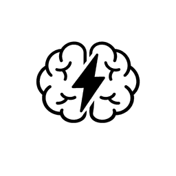 Budget Brain Logo